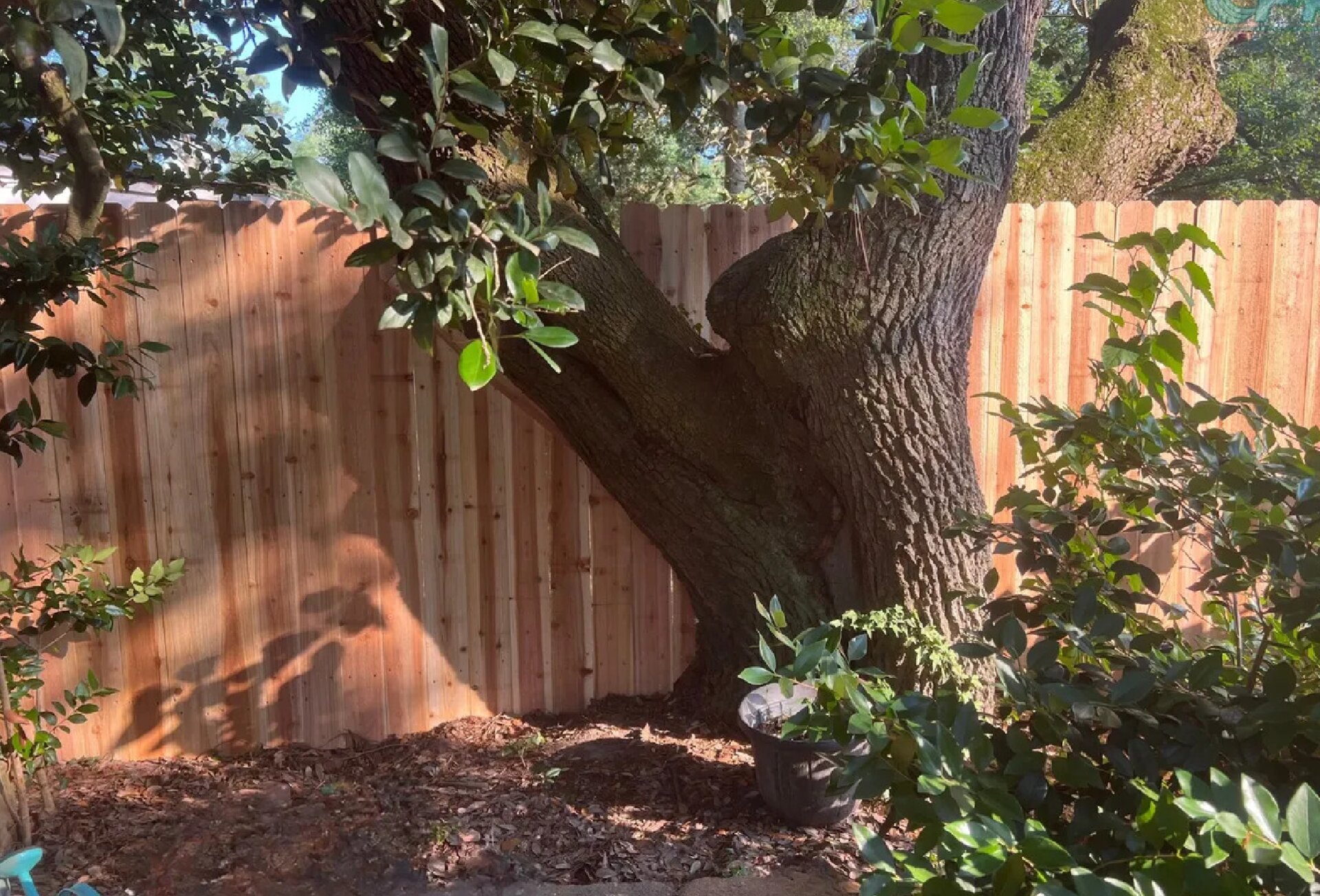 WOOD fencing